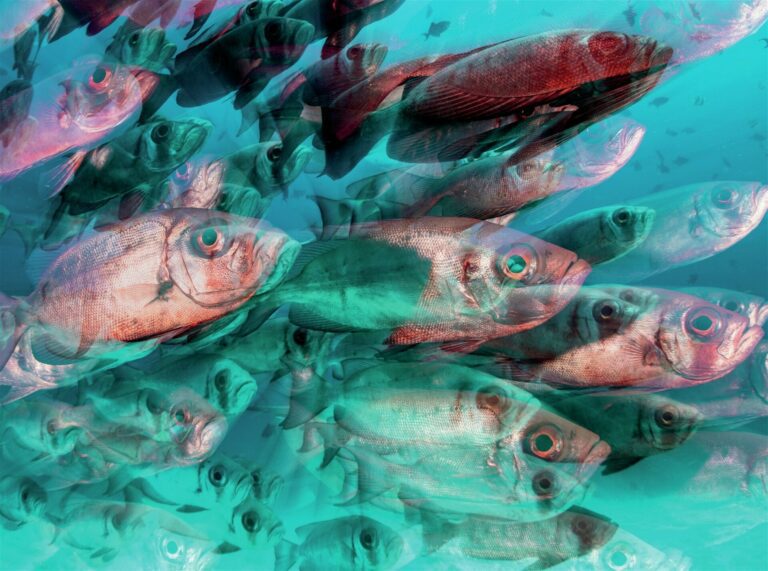 The rise of AI makes us question if a creative effect was the photographer or software