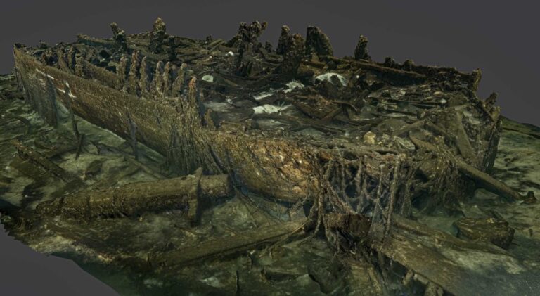 The Champagne Wreck (Bartlomiej Pitala)