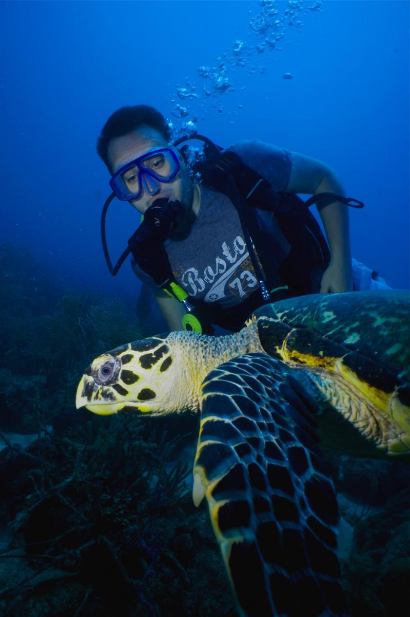 Into the Blue in Barbados