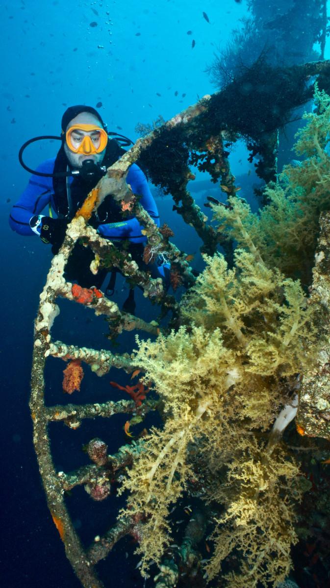 Amazing Aqaba 14 Amazing Aqaba