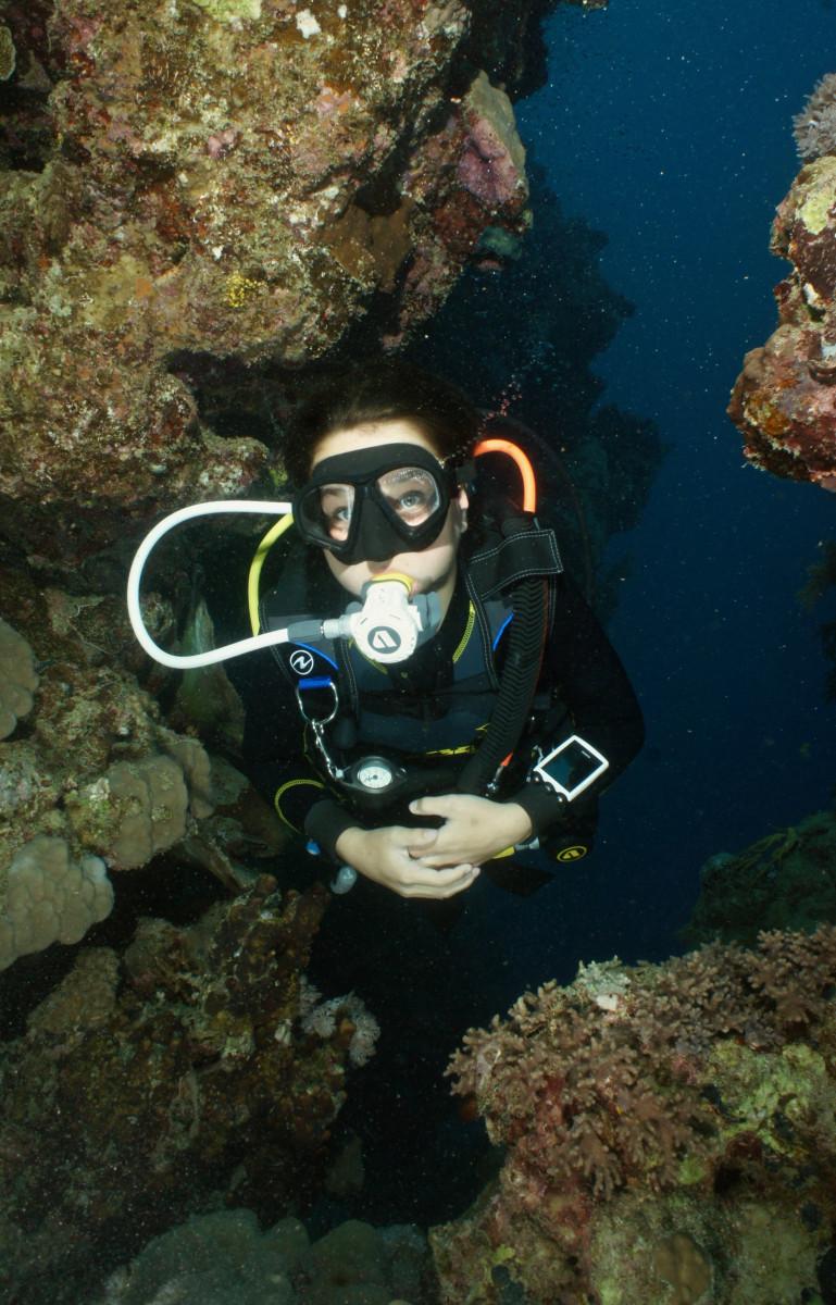 Roots Red Sea Diving Holiday 13 Back to our Roots
