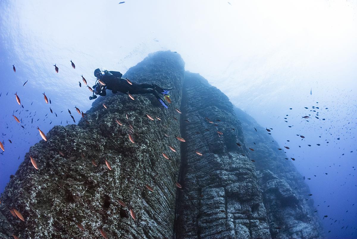 Diver in the shadow of Roca Partida