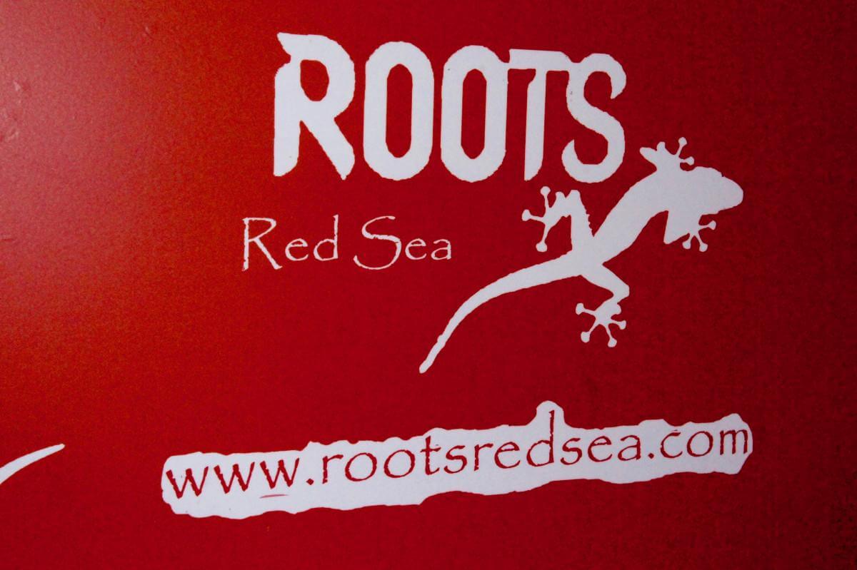 Roots red sea