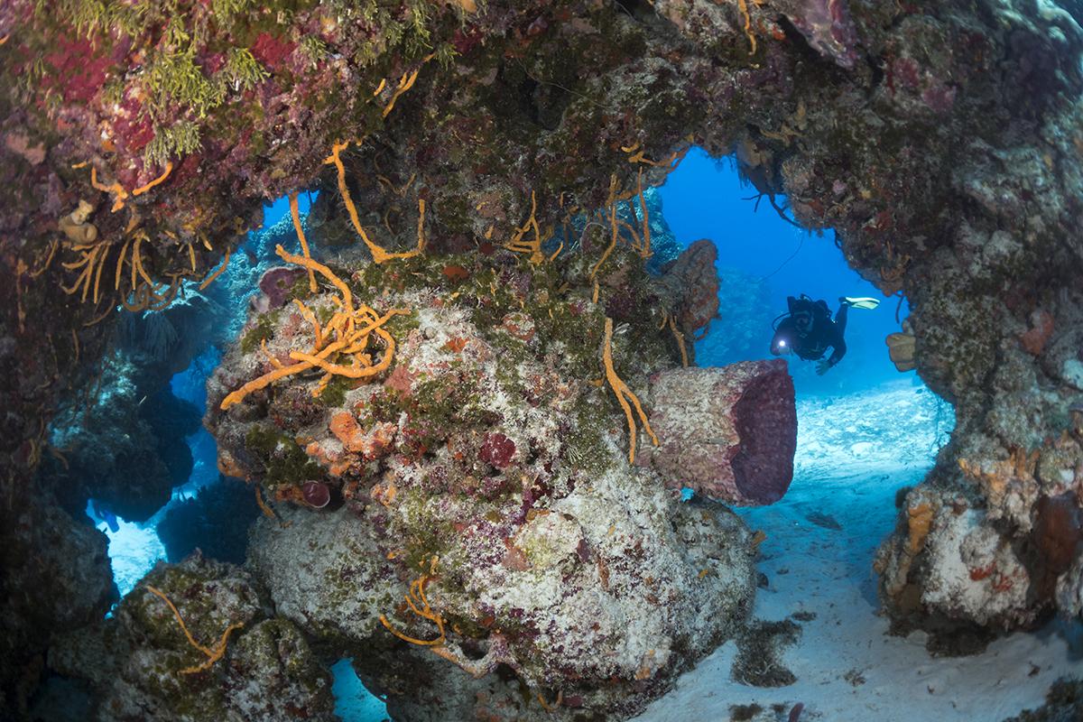 A diver begins his decent into inner parts of Palancar Caves in Cozumel, Mexico