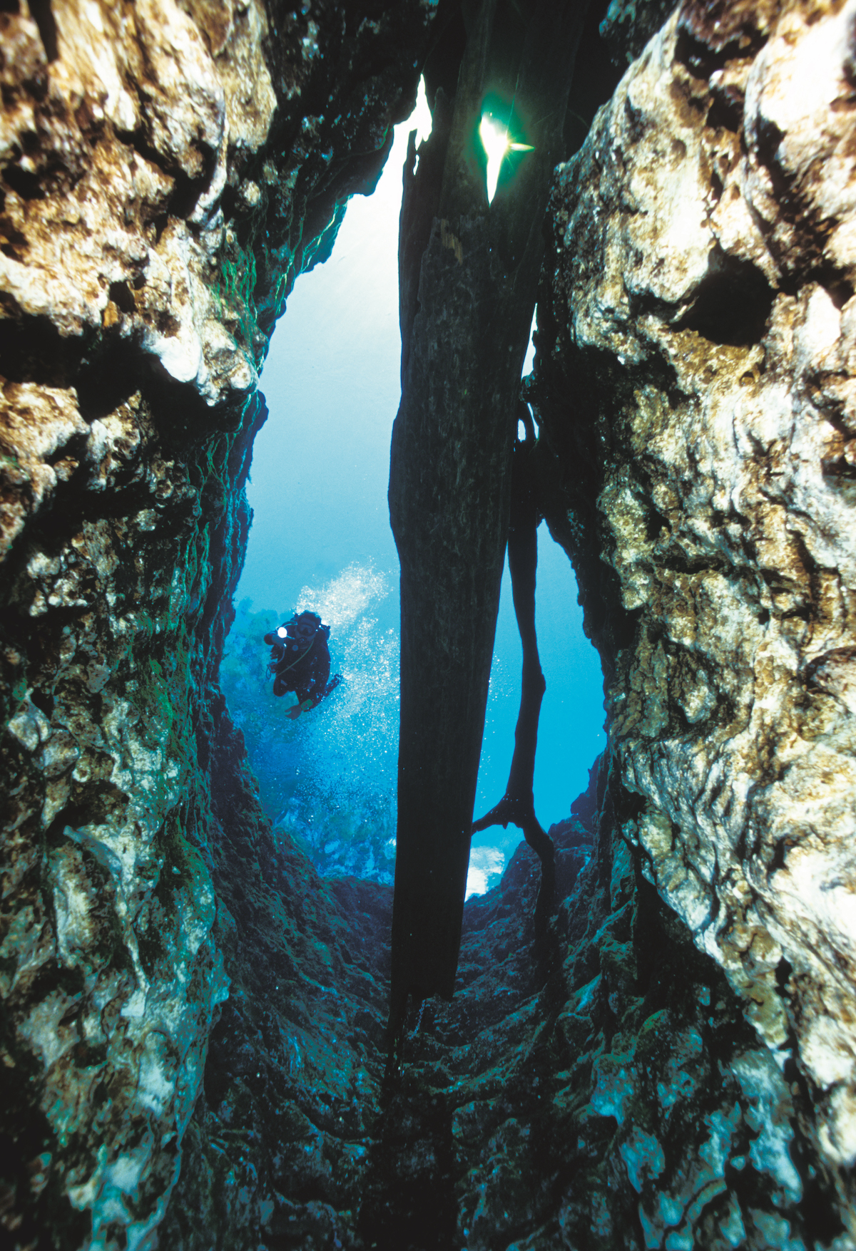 Cave Diving Florida - Devil's Ear