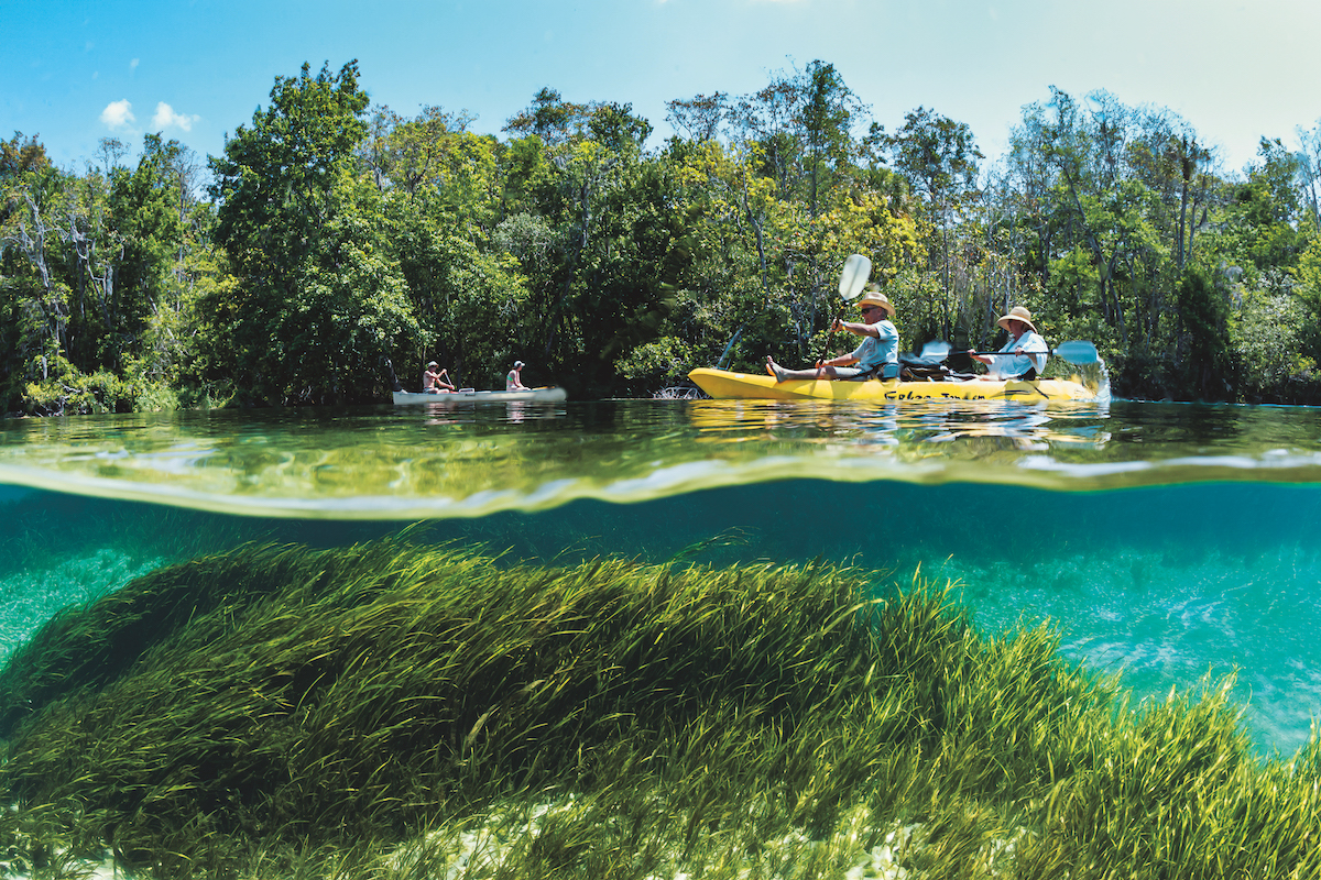 Guide to Springs in North Florida