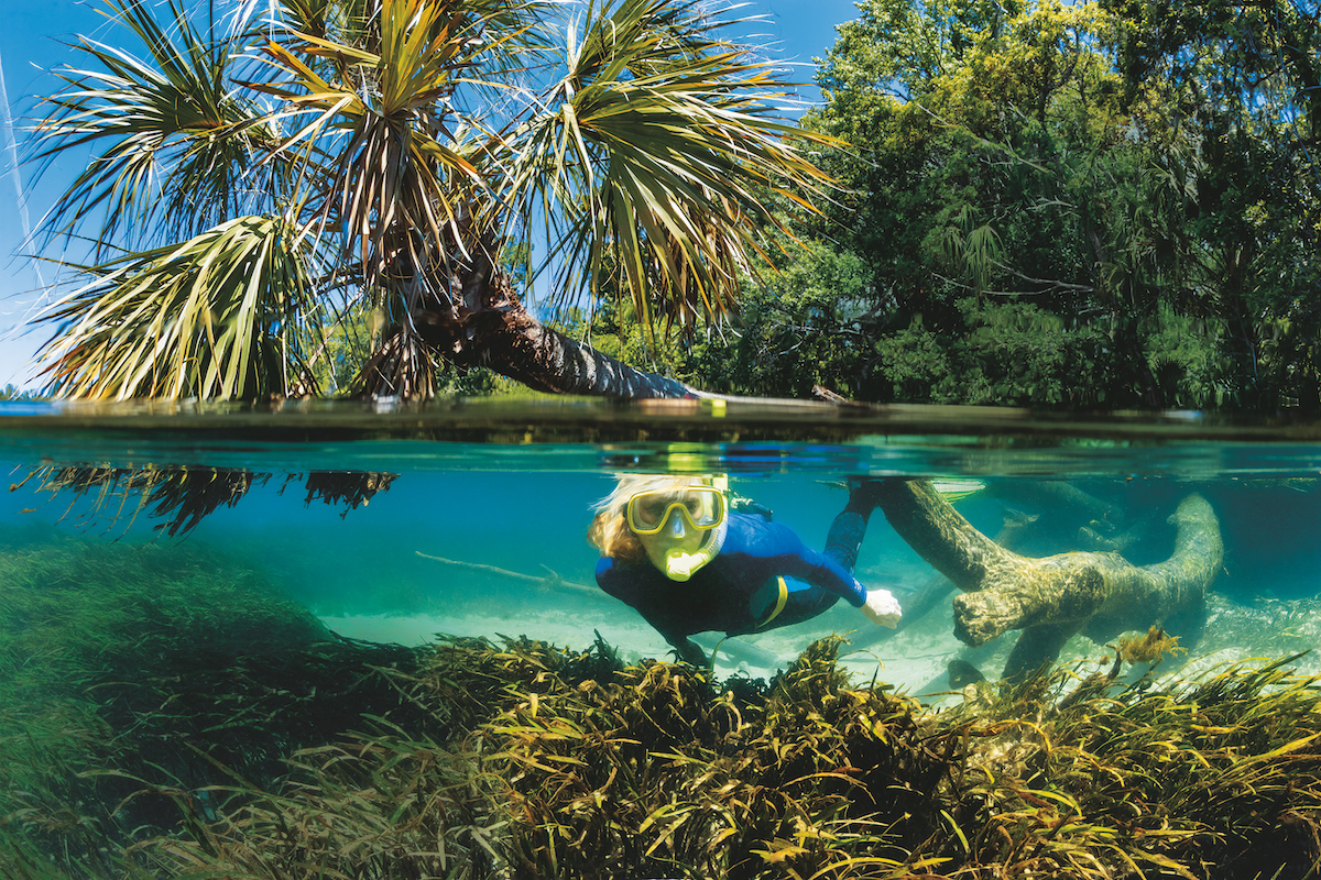 North Florida - Rainbow River snorkeling