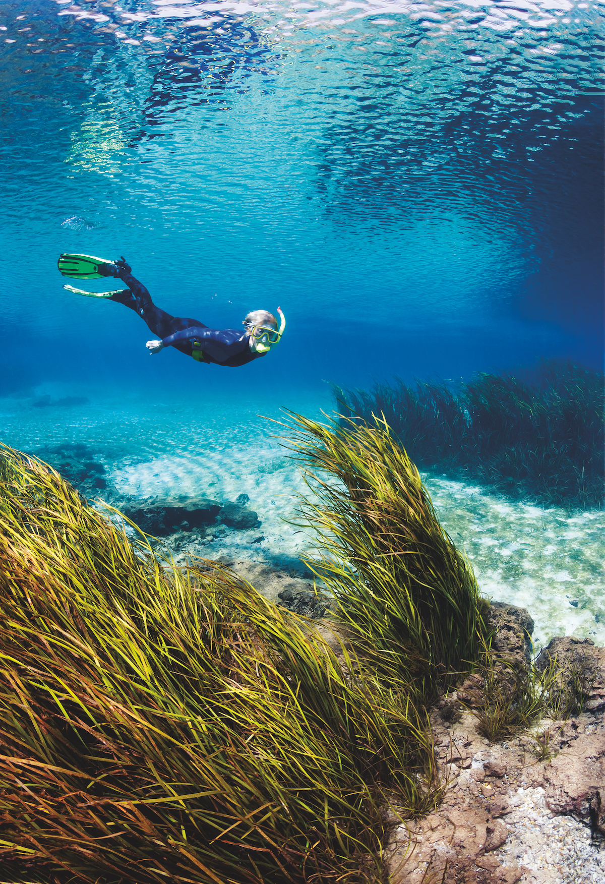 North Florida Springs Diving - Upper Rainbow River