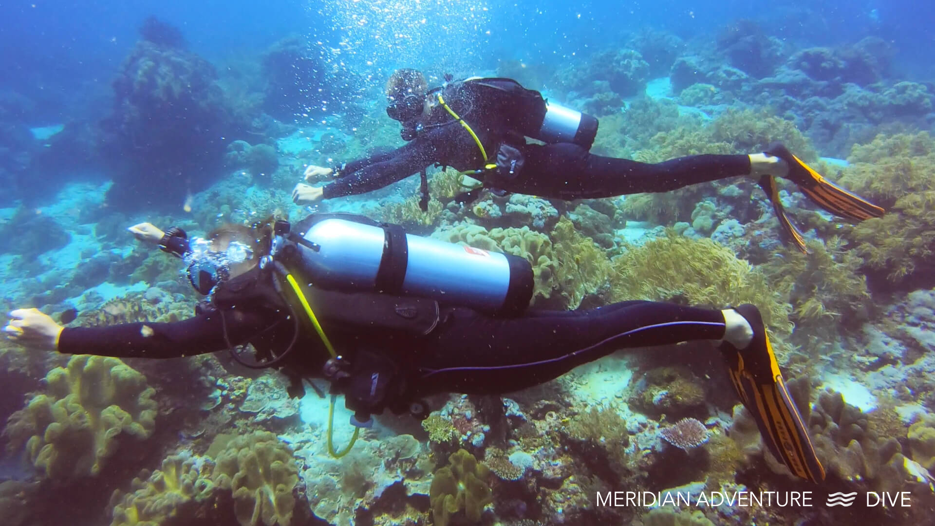 Meridian Adventure Dive.