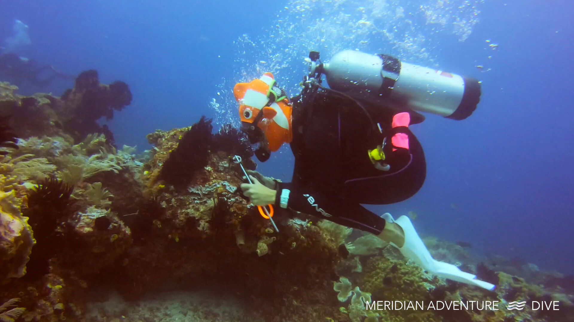 Raja Ampat diving - Doing The Worm.