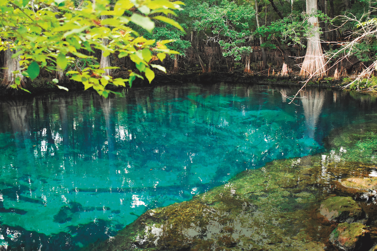 Florida: With Nature's Springs and Sinkholes is a Diver's Paradise