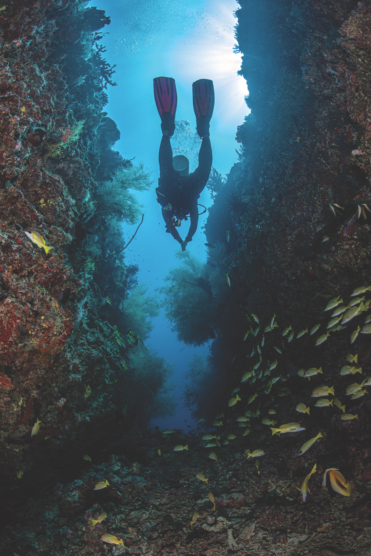 Maldives cave diving