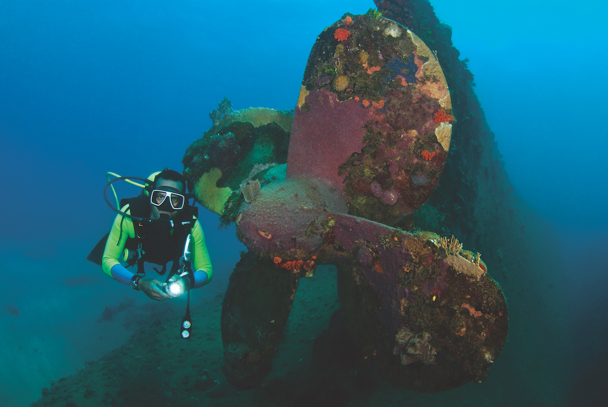 Best wreck diving in the Caribbean - propellor.
