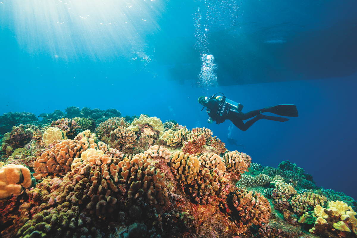 Hawaii scuba diving - Diver in Kona.