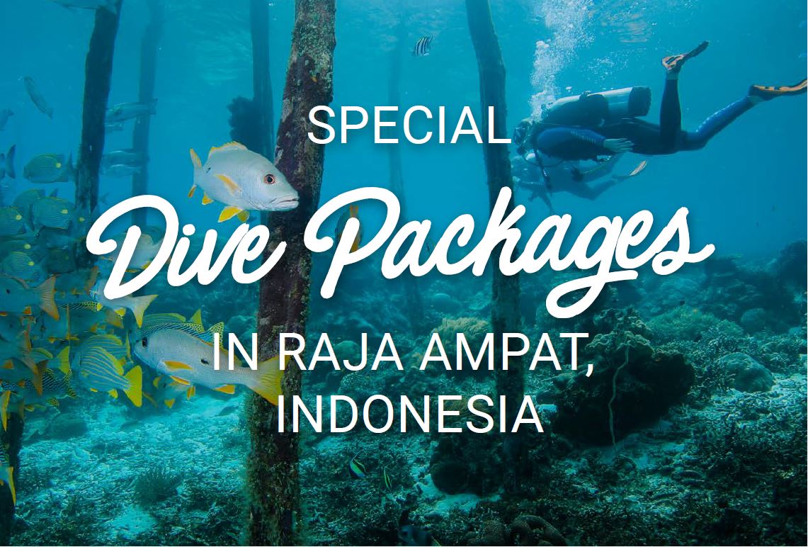 Special Dive Packages for Raja Ampat