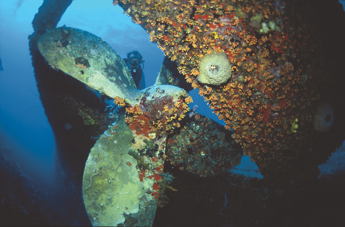 Best wreck dives in the Caribbean - Part I 2 Best wreck dives in the Caribbean - Bonaire