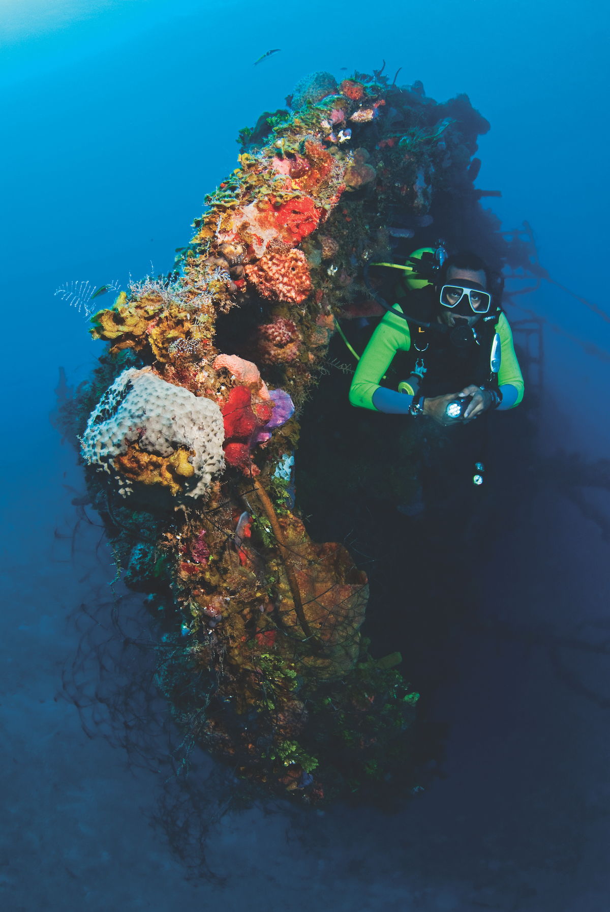 Best wreck diving in the Caribbean.