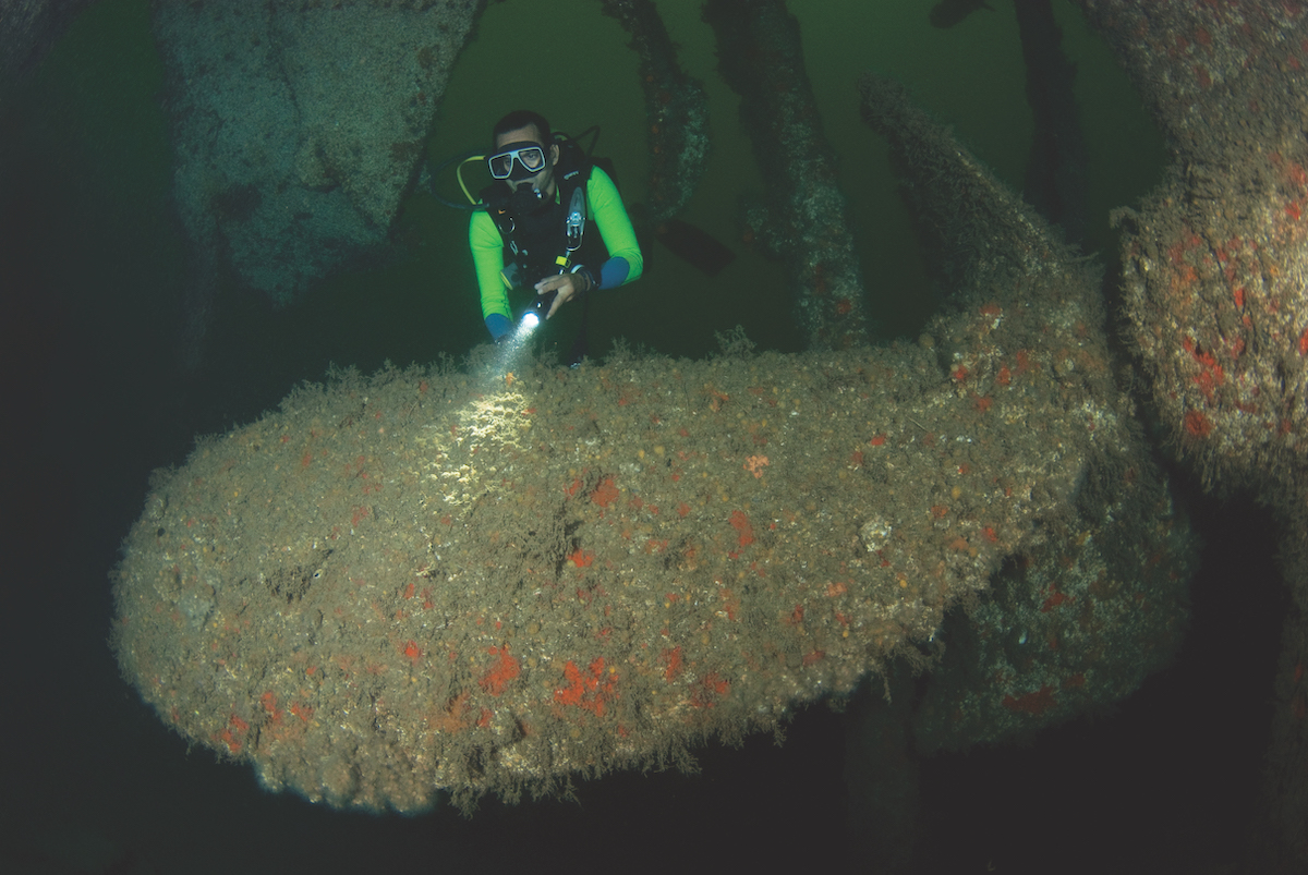 Best wreck diving in the Caribbean - the Merrimac.