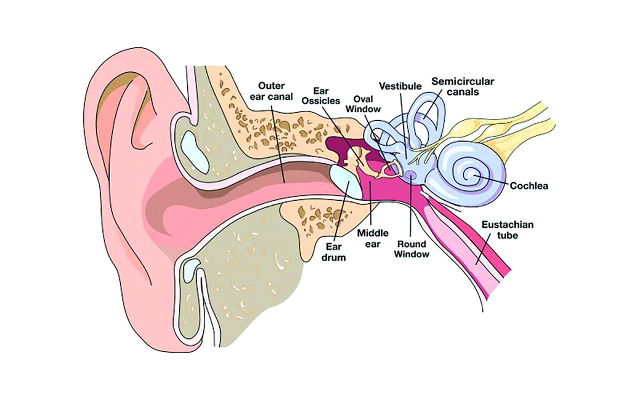 ear equalization 1