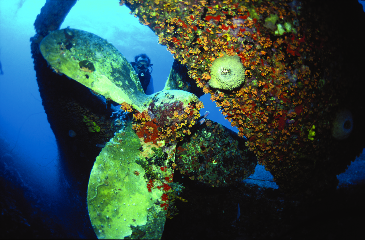 Bonaire Wreck Diving